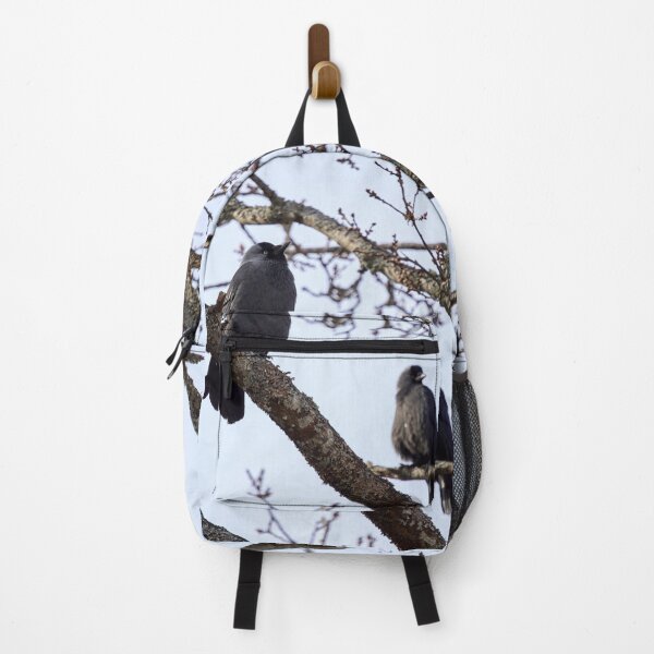 Item preview, To be or not to be. Western jackdaw designed and sold by Jouko Lehto Photography.