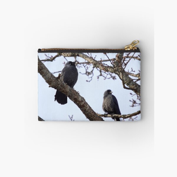 Item preview, To be or not to be. Western jackdaw designed and sold by Jouko Lehto Photography.