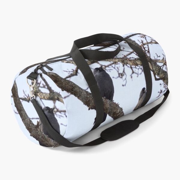 Item preview, To be or not to be. Western jackdaw designed and sold by Jouko Lehto Photography.