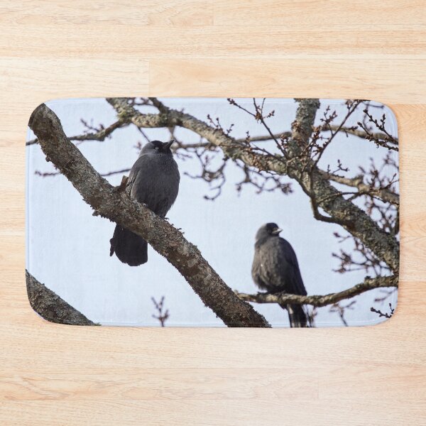 Item preview, To be or not to be. Western jackdaw designed and sold by Jouko Lehto Photography.