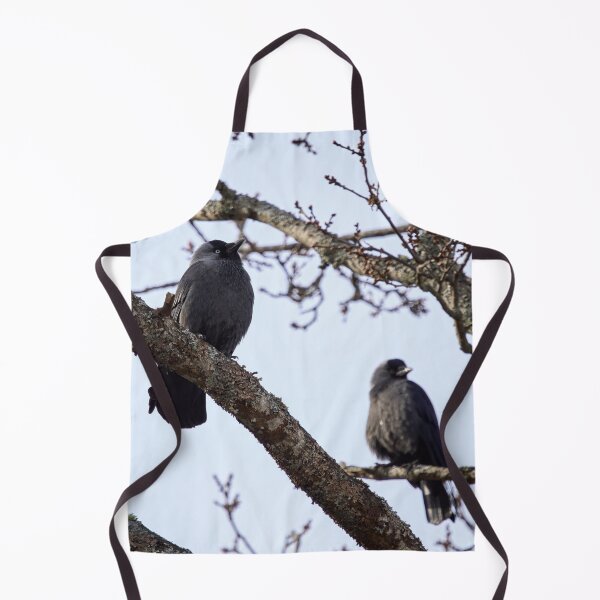 Item preview, To be or not to be. Western jackdaw designed and sold by Jouko Lehto Photography.