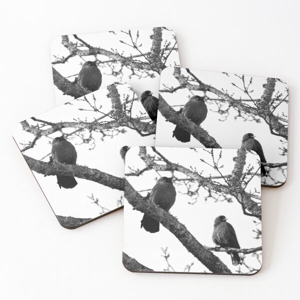 Item preview, To be or not to be. Western jackdaw bw designed and sold by Jouko Lehto Photography.