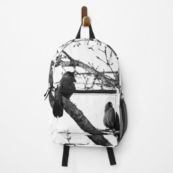 Item preview, To be or not to be. Western jackdaw bw designed and sold by Jouko Lehto Photography.