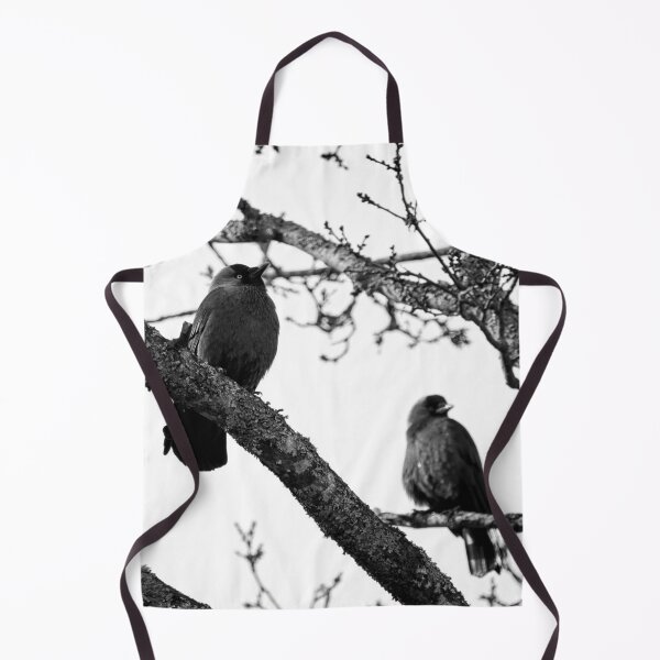Item preview, To be or not to be. Western jackdaw bw designed and sold by Jouko Lehto Photography.