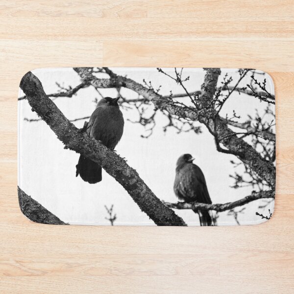 Item preview, To be or not to be. Western jackdaw bw designed and sold by Jouko Lehto Photography.