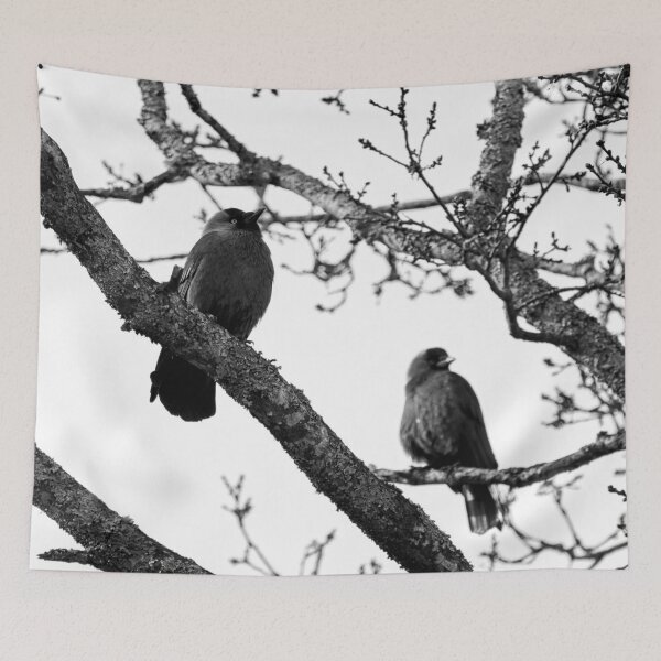 Item preview, To be or not to be. Western jackdaw bw designed and sold by Jouko Lehto Photography.