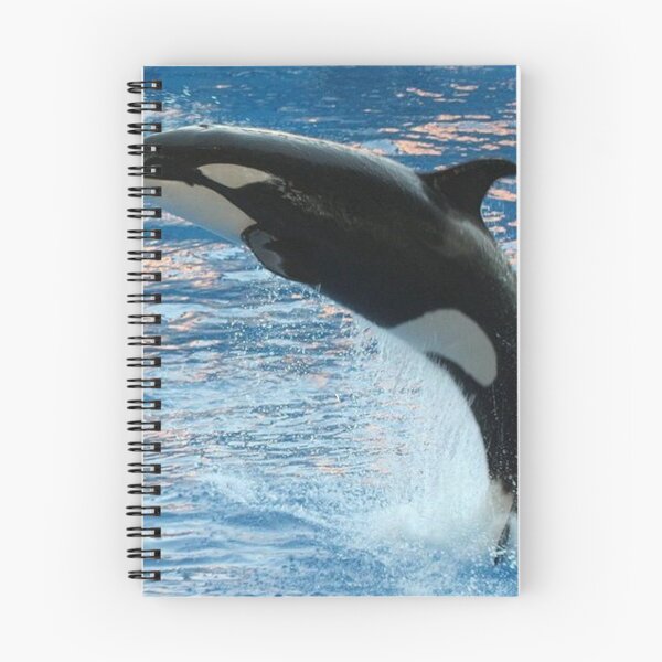Item preview, Fearsome Orca designed and sold by Noni3D.