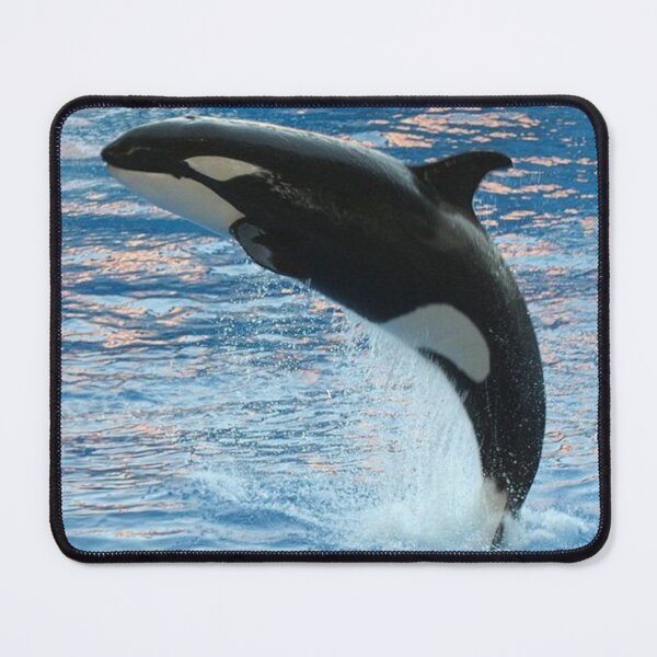 Item preview, Fearsome Orca designed and sold by Noni3D.
