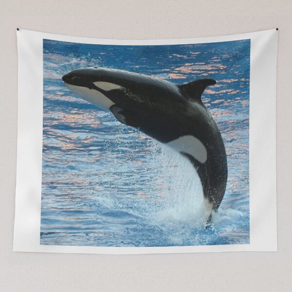 Item preview, Fearsome Orca designed and sold by Noni3D.