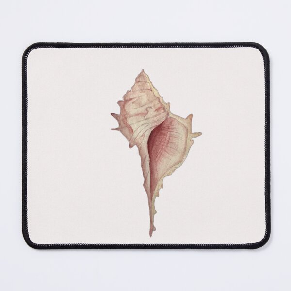 Item preview, Shell Vibes – Peachy Pink Beach Shell designed and sold by BelotteArt.