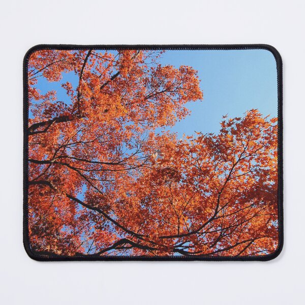 Item preview, Japan Red Autumn Leaves Fall Foliage in Tokyo designed and sold by TalBright.