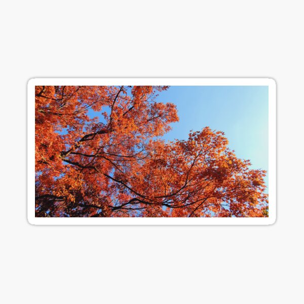 Item preview, Japan Red Autumn Leaves Fall Foliage in Tokyo  designed and sold by TalBright.