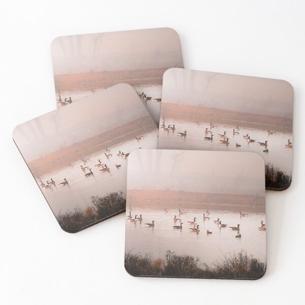 Item preview, Misty Morning Float designed and sold by Jim Love.