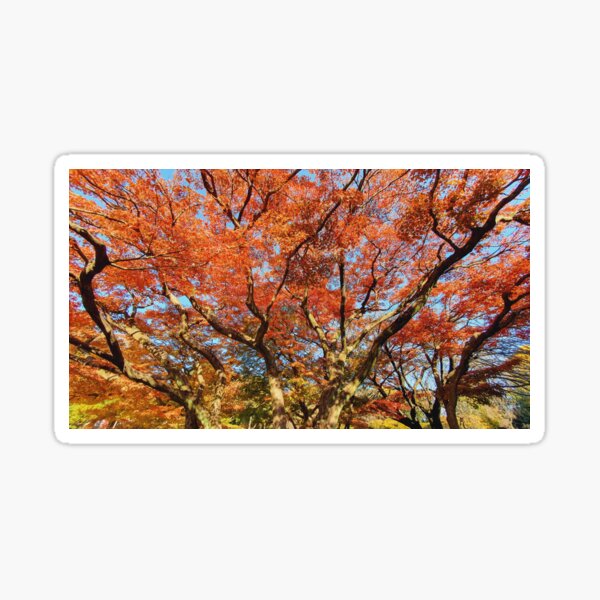 Item preview, Japan Red Autumn Leaves Fall Foliage in Tokyo  designed and sold by TalBright.