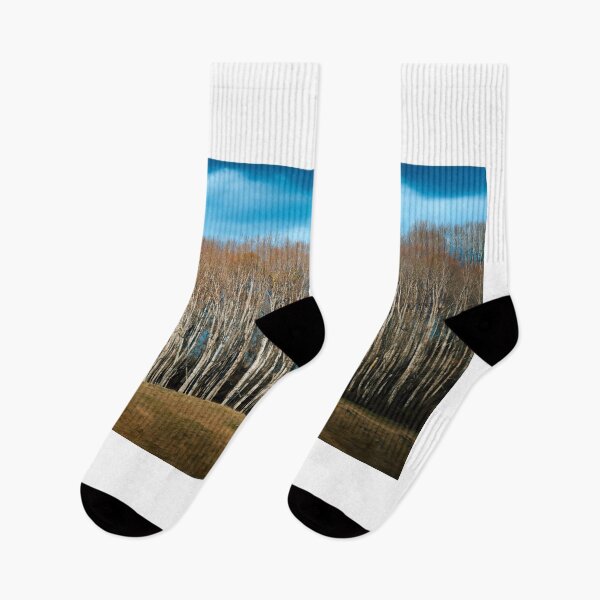 Item preview, Rhythm Of The Trees designed and sold by Jim Love.