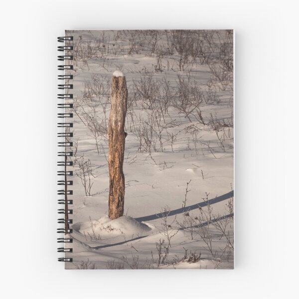 Item preview, 2 Wooden Posts designed and sold by Jim Love.
