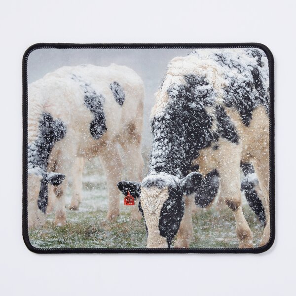 Item preview, Holstein Whiteout designed and sold by Jim Love.