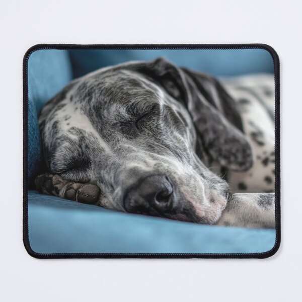 Item preview, Sleepy dog resting on a blue couch designed and sold by anytka.