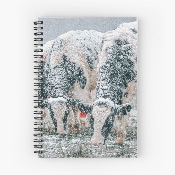 Item preview, Holstein Whiteout 2 designed and sold by Jim Love.
