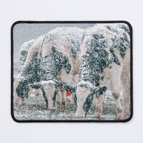 Item preview, Holstein Whiteout 2 designed and sold by Jim Love.