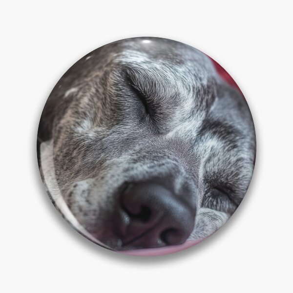 Item preview, Dog peacefully sleeping on a couch designed and sold by anytka.
