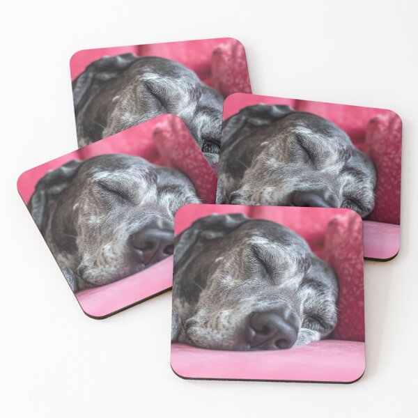 Item preview, Dog peacefully sleeping on a couch designed and sold by anytka.