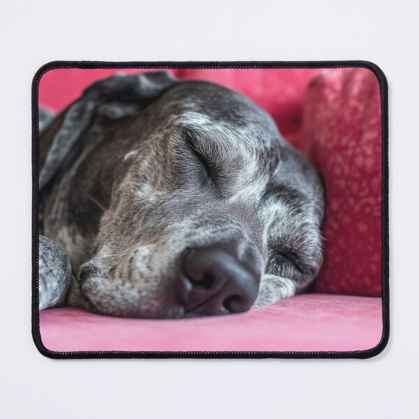 Item preview, Dog peacefully sleeping on a couch designed and sold by anytka.