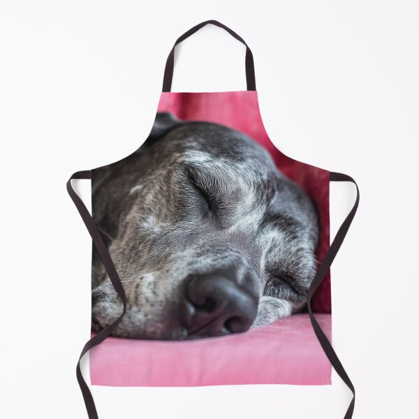 Item preview, Dog peacefully sleeping on a couch designed and sold by anytka.