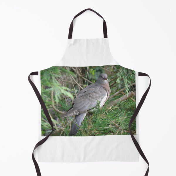 Item preview, Cute Juvenile Wood Pigeon in a Tree designed and sold by naturegallery.