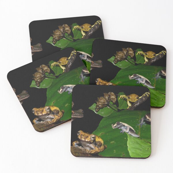 Item preview, Amazon Frogs designed and sold by Carbon Based Lifeforms.