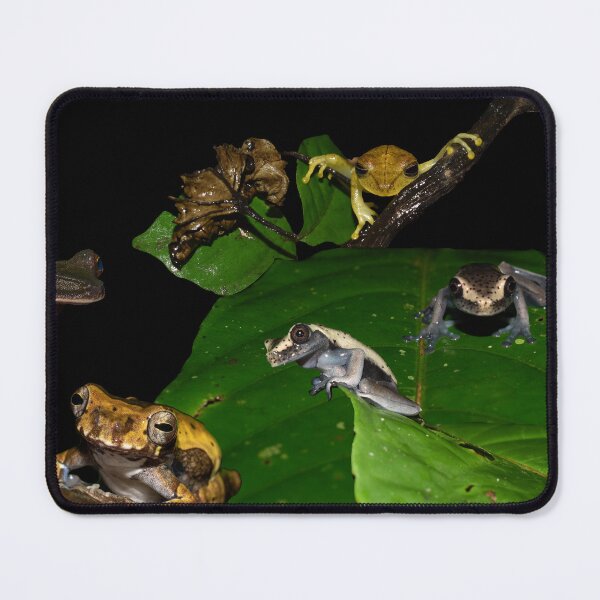 Item preview, Amazon Frogs designed and sold by Carbon Based Lifeforms.