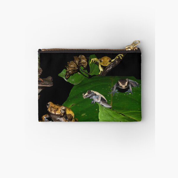 Item preview, Amazon Frogs designed and sold by Carbon Based Lifeforms.