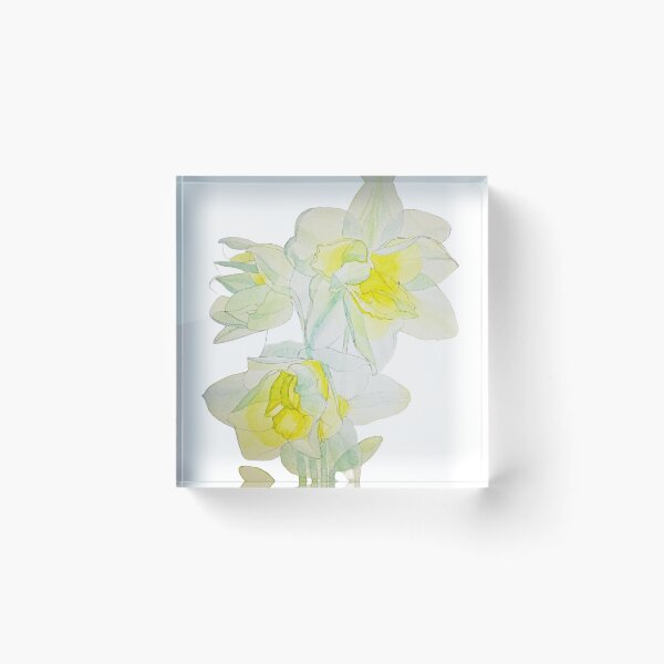 Item preview, Transparent Daffodils watercolour painting  designed and sold by esvb.