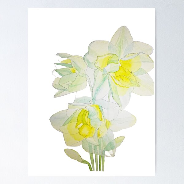 Item preview, Transparent Daffodils watercolour painting  designed and sold by esvb.