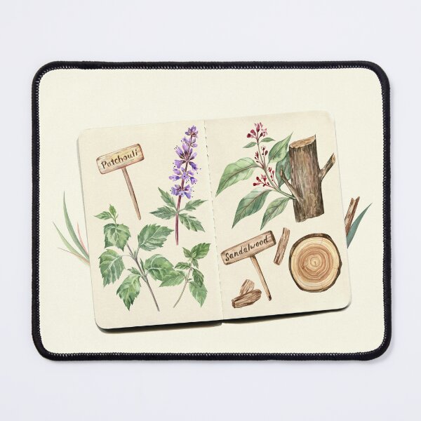 Item preview, Patchouli and Sandalwood botanical sketches designed and sold by Flowersforbear.
