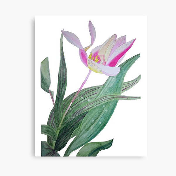 Item preview, Pink Tulip watercolour painting  designed and sold by esvb.