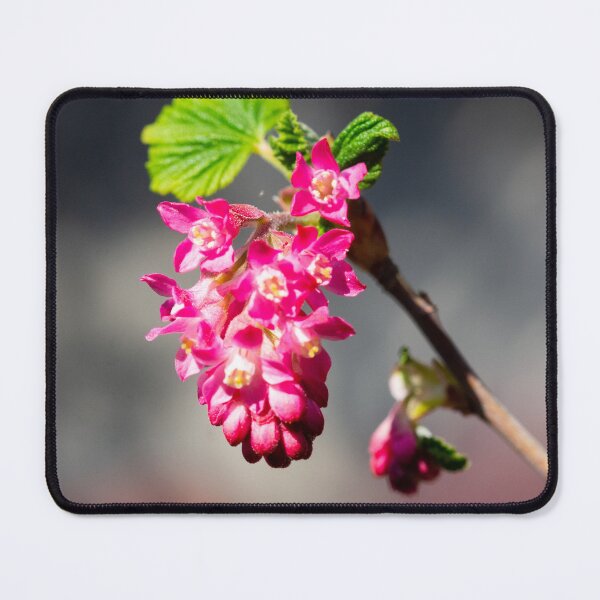 Item preview, Bloodred spring happiness designed and sold by jchanders.