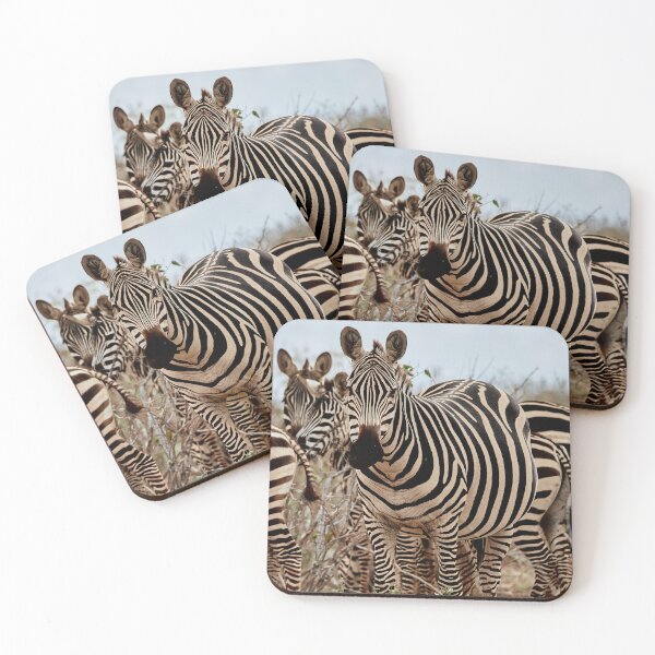 Item preview, Black and White Beauties designed and sold by Eidetic Photos.