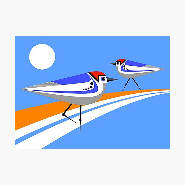 Item preview, Red Capped SandPipers. designed and sold by Graham Colton.