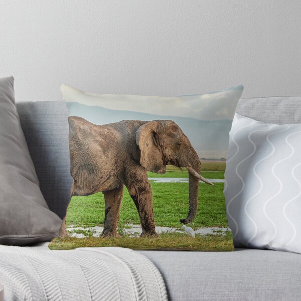 Item preview, Elephant IX designed and sold by Eidetic Photos.