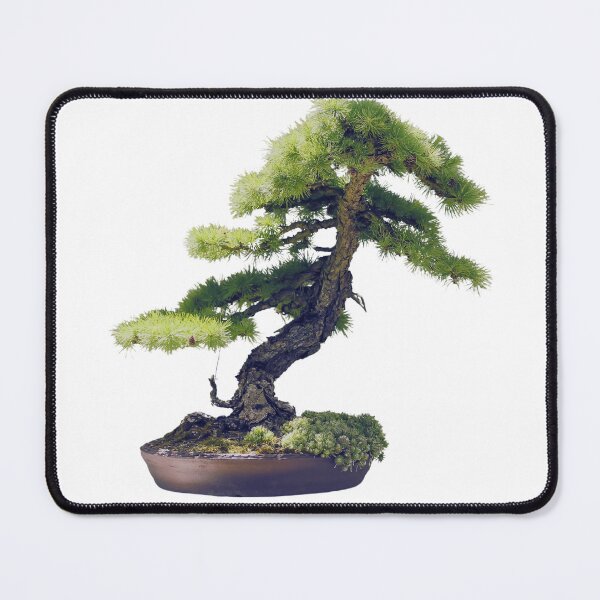 Item preview, Bonsai designed and sold by di-Vera-Rosati.