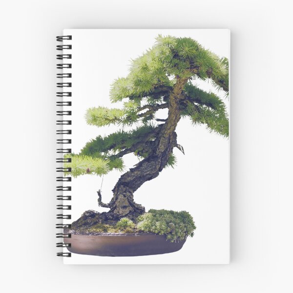 Item preview, Bonsai designed and sold by di-Vera-Rosati.
