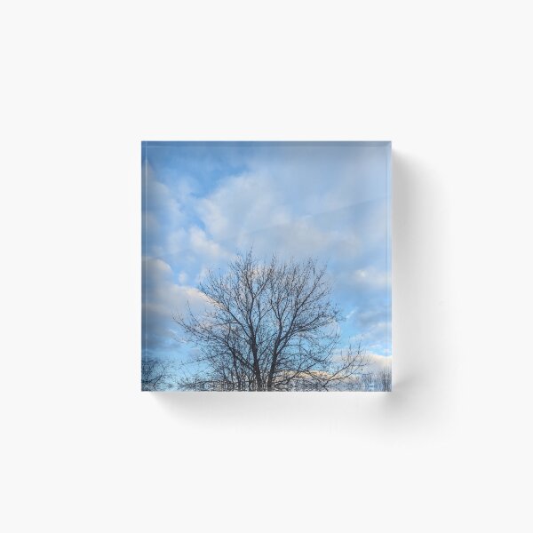 Item preview, tree and sky designed and sold by Corner21.
