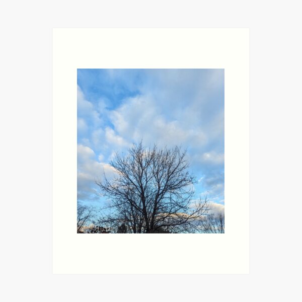 Item preview, tree and sky designed and sold by Corner21.