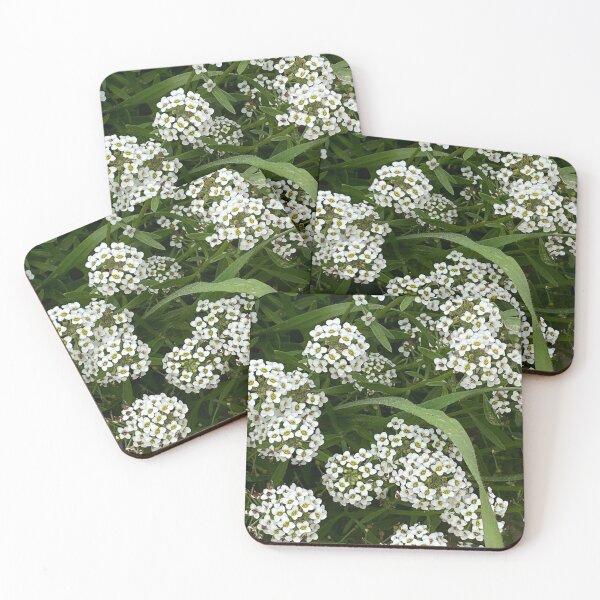 Item preview, Delicate White Flowers designed and sold by Myst1cHugs.