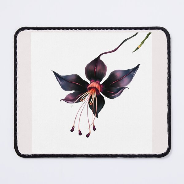 Item preview, Tacca chantrieri Bat Flower#4 designed and sold by Helios Be. Lavsh.
