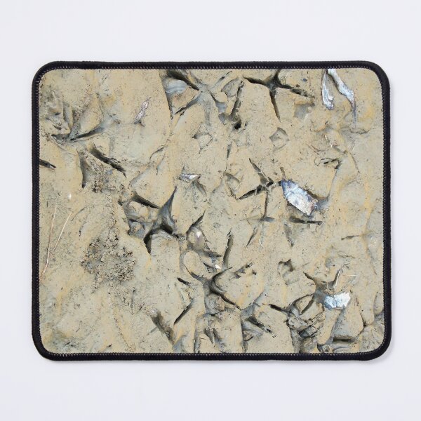 Item preview, Making Tracks at Magpie Springs by South Australian artist Avril Thomas designed and sold by MagpieSprings.