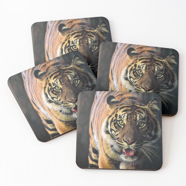 Item preview, Breathtaking Tiger Face Luxurious Photo Art designed and sold by DEC02.
