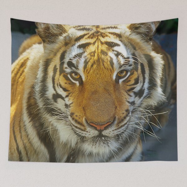 Item preview, Tiger Face: Up Close and Very Personal Art Photo designed and sold by DEC02.