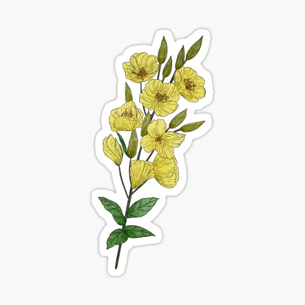Artikel-Vorschau von Gelbe Primelblüten, designt und verkauft von Marguerite Artistry.